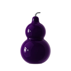 OTE Kalebasfles van roestvrij staal, metalen kalebaswaterfles met schouderband, draagbare en duurzame kalebassportwaterfles voor sportschool, reizen en dagelijks gebruik, 300 ml