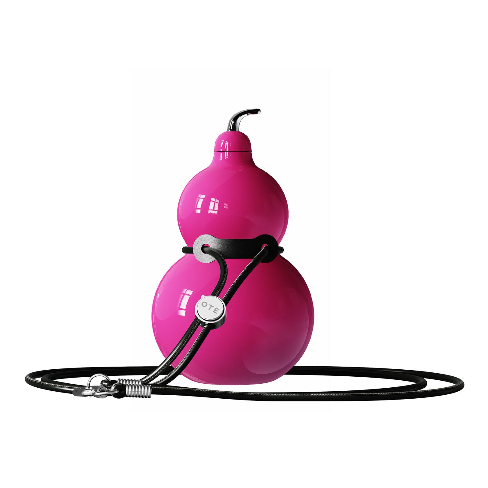 OTE Kalebasfles van roestvrij staal, metalen kalebaswaterfles met schouderband, draagbare en duurzame kalebassportwaterfles voor sportschool, reizen en dagelijks gebruik, 300 ml